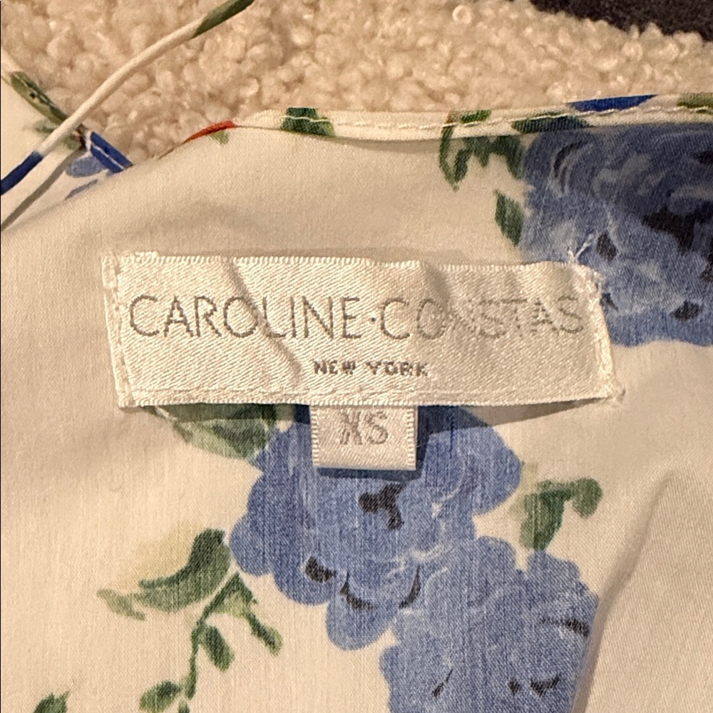 Caroline Constas Laurel Ruffled Floral-Print Cotton-blend Mini Dress - Picture 9 of 10